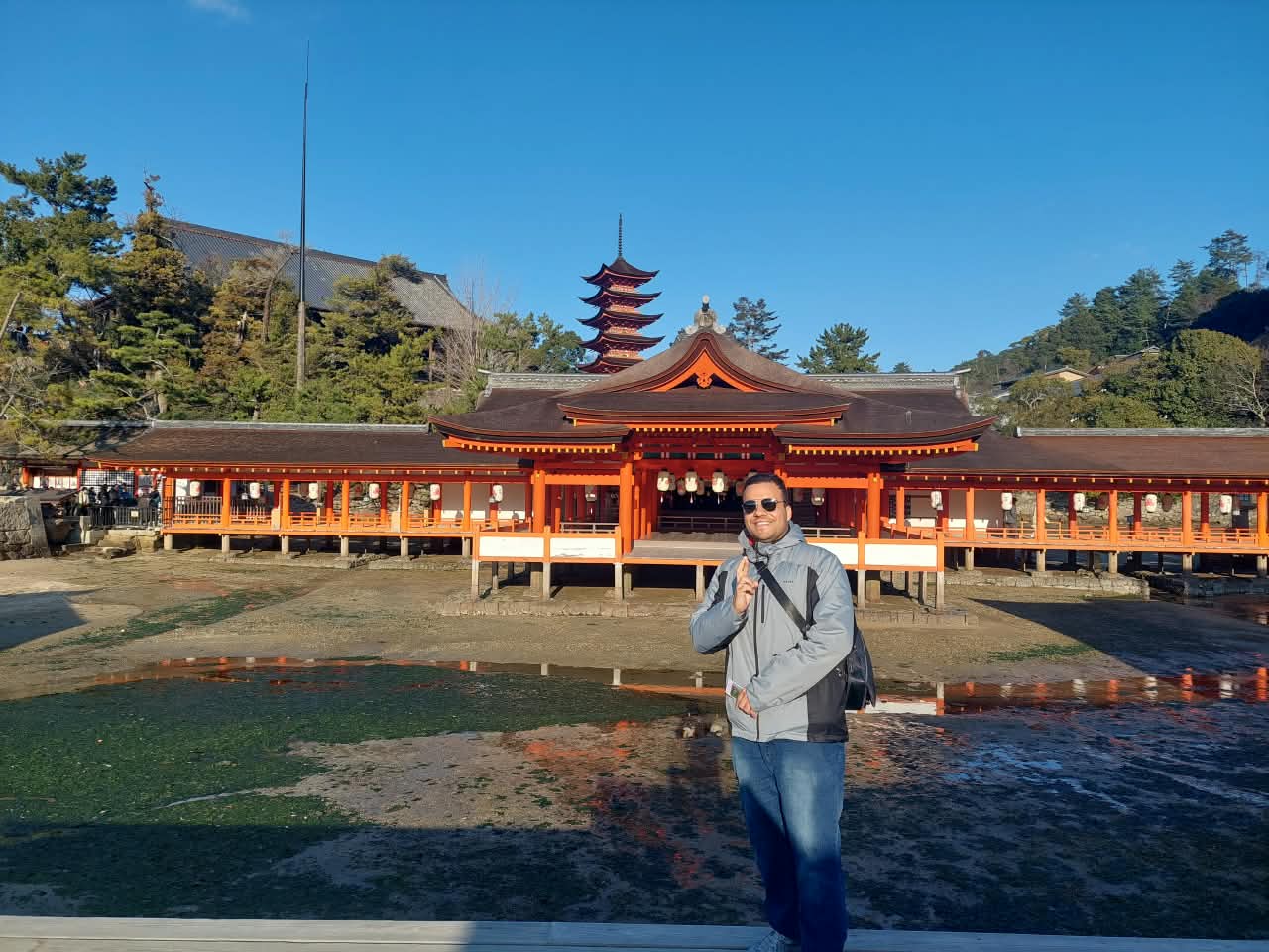 Andrei Rocha guiding at Itsukushima Shrine, Miyajima